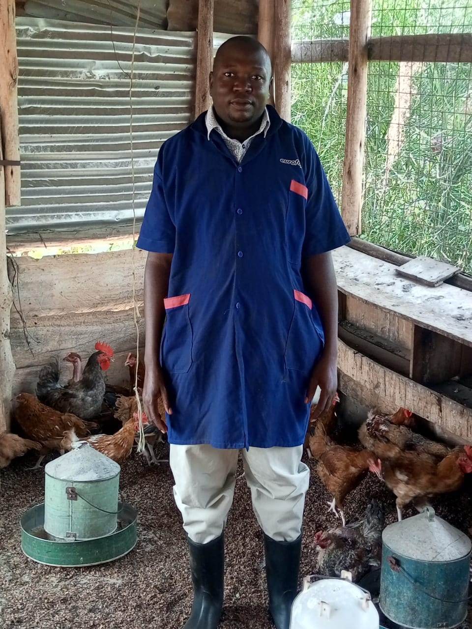 Farmer refilling a hanging drinker among mixed-breed chickens